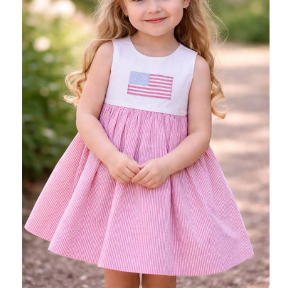 Stellybelly Girl's Pink American Flag Embroidered Patriotic Dress Size 3T